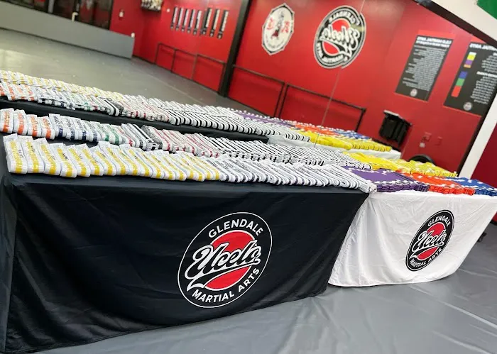 Ucelo Martial Arts Glendale Picture 1