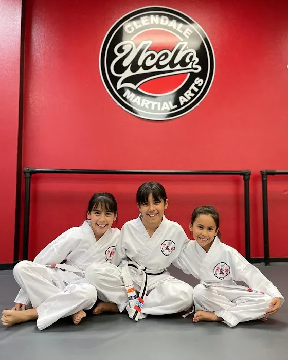 Ucelo Martial Arts Glendale Picture 6