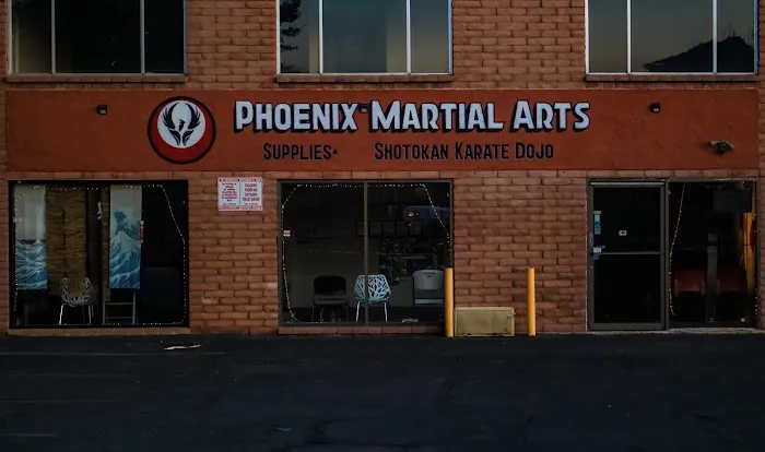 Phoenix Martial Arts Supplies LLC Picture 3