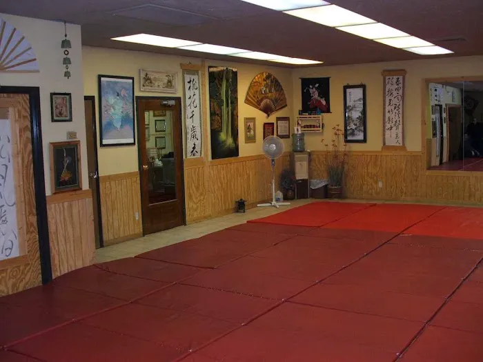 Aiki Jujutsu School Picture 1