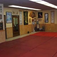 Aiki Jujutsu School ico