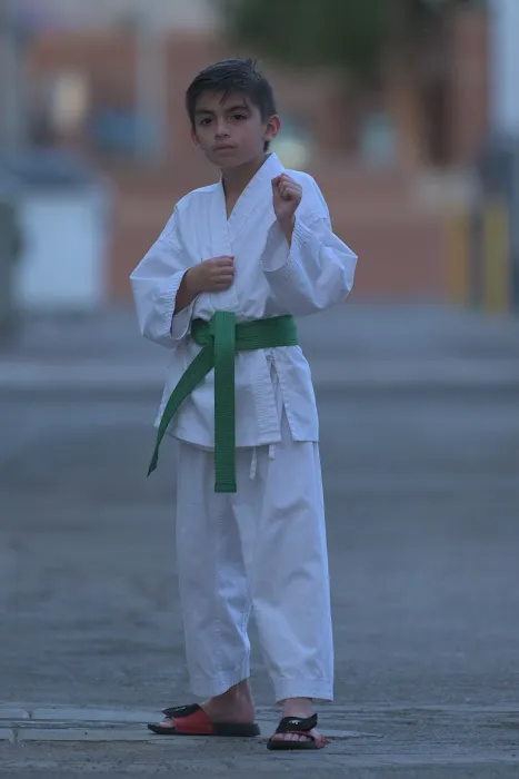 Arizona Shotokan Karate Picture 1
