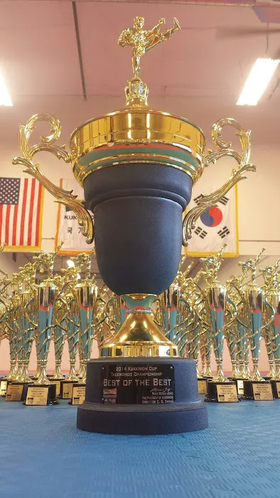 Choi’s Traditional TaeKwonDo Academy Picture 6