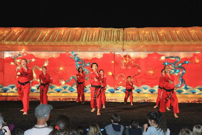 Choi’s Traditional TaeKwonDo Academy Picture 8