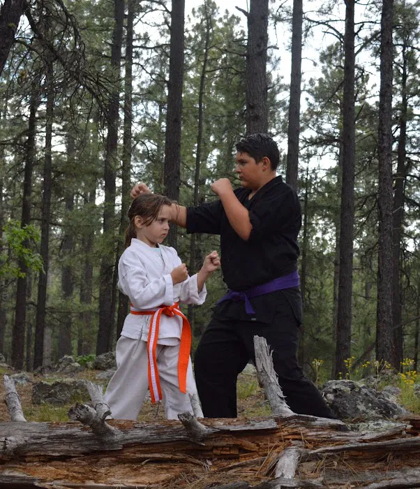 Attitude First Martial Arts Academy Picture 6