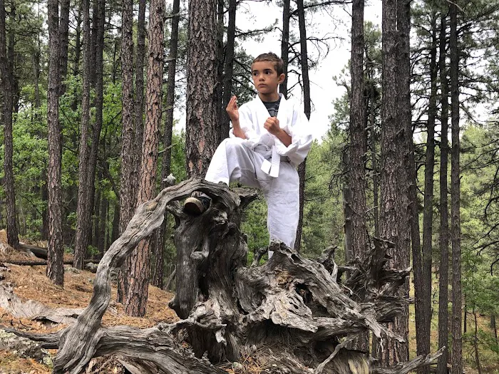 Attitude First Martial Arts Academy Picture 9