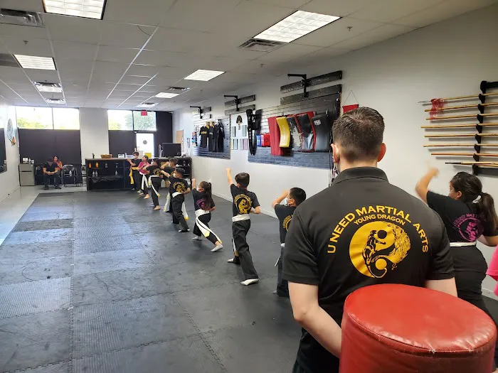 Uneed Martial Arts Picture 10