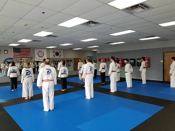 Destiny Martial Arts Academy Picture 5