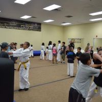 Peoria Championship Martial Arts LLC ico