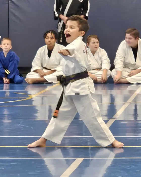 Peoria Championship Martial Arts LLC Picture 10