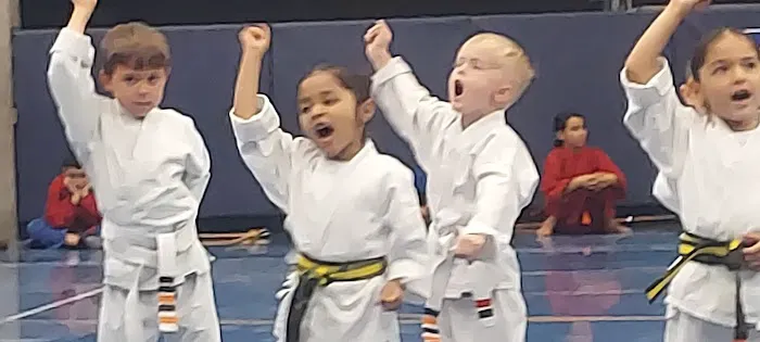 Peoria Championship Martial Arts LLC Picture 8