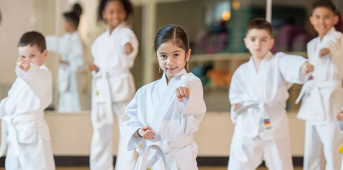 Arizona Family Karate Academy Picture 4