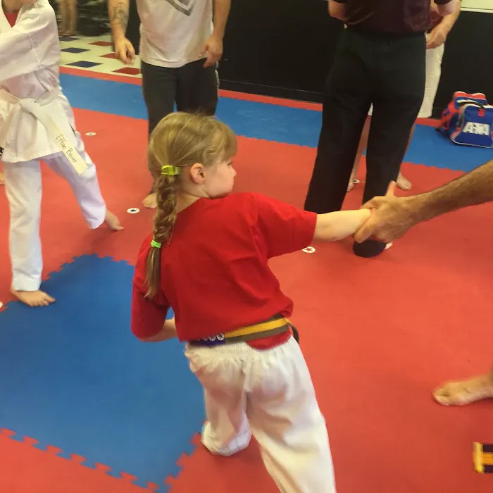 ATA Martial Arts Karate and KarateBuilt.com Picture 9