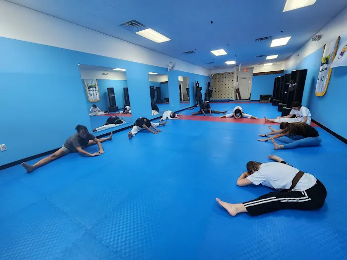 Infinity Taekwondo, LLC Picture 7