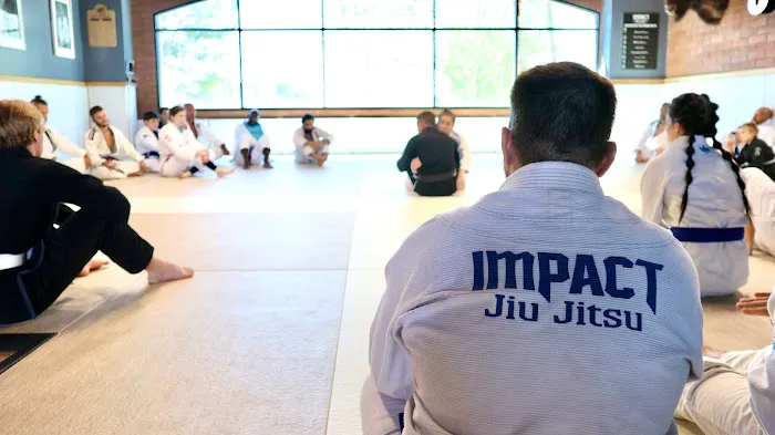 Impact Jiu Jitsu Fountain Hills Picture 2