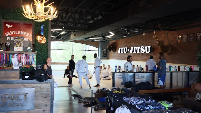 Impact Jiu Jitsu Fountain Hills Picture 4