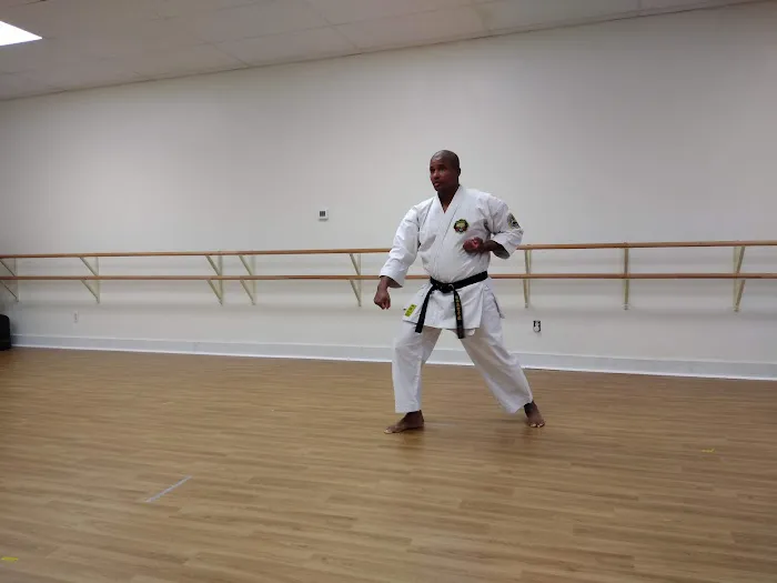 Laveen Karate Picture 1