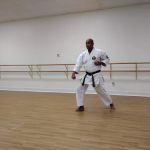 Laveen Karate