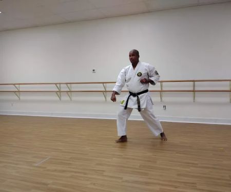 Laveen Karate