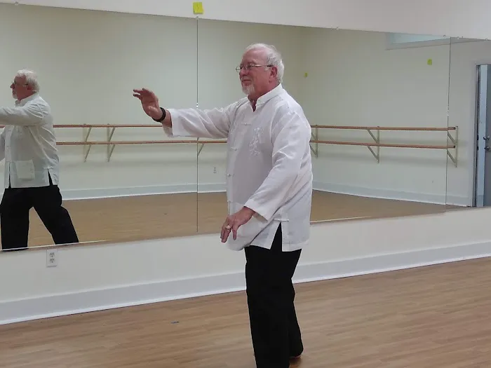 Laveen Karate Picture 8