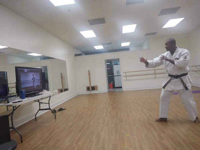 Laveen Karate Picture 7