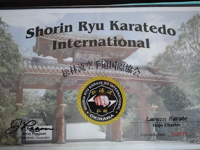 Laveen Karate Picture 5