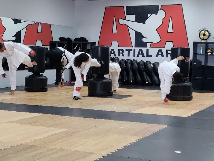 Lee's ATA Martial Arts Picture 2