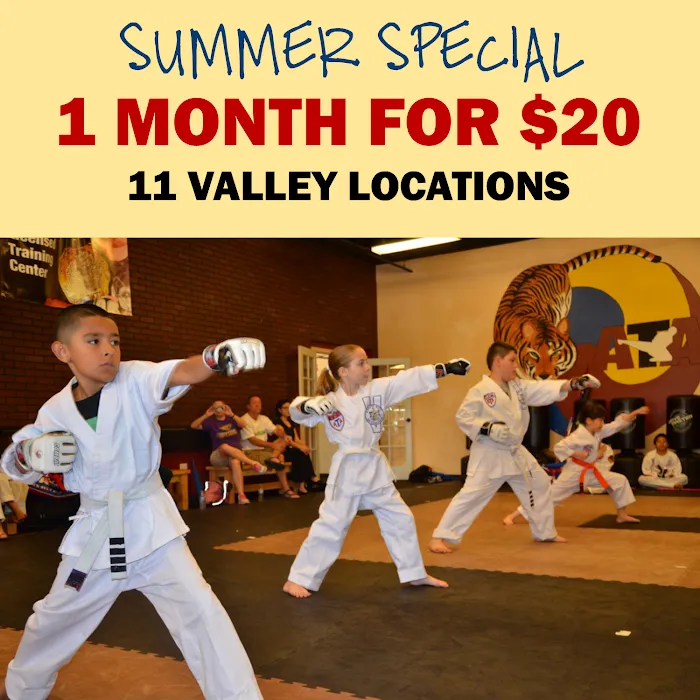 Lee's ATA Martial Arts Picture 10