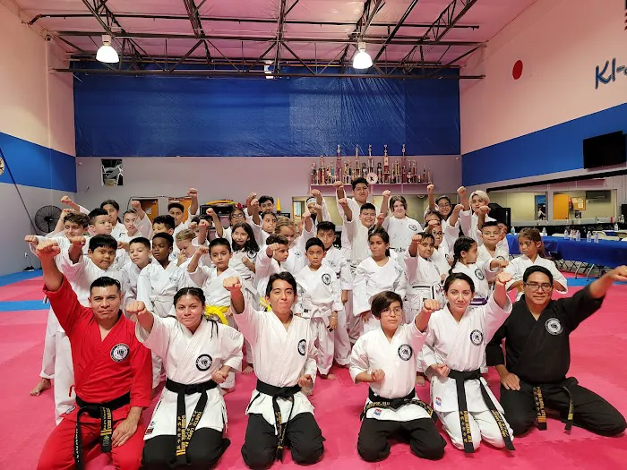 KI-SENSHI Martial Arts Picture 8