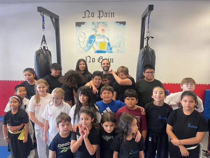 Far East Martial Arts & Fitness Picture 5