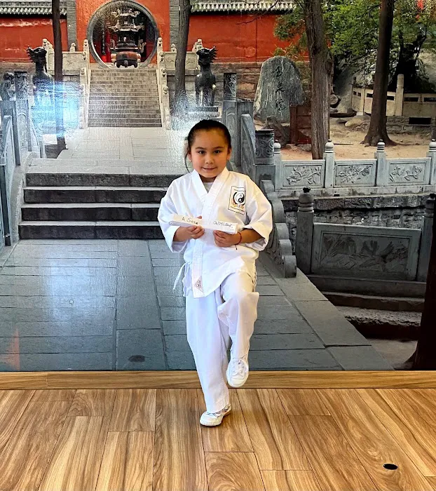 Avondale Kung Fu, Tai Chi, Qigong, Yoga, and Meditation Picture 2