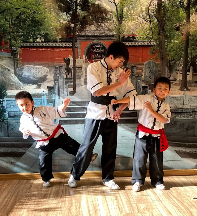 Avondale Kung Fu, Tai Chi, Qigong, Yoga, and Meditation Picture 1