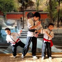 Avondale Kung Fu, Tai Chi, Qigong, Yoga, and Meditation ico