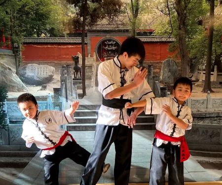 Avondale Kung Fu, Tai Chi, Qigong, Yoga, and Meditation