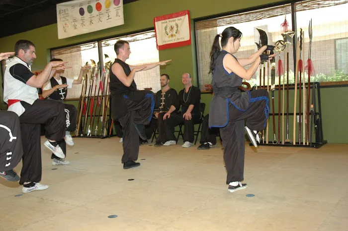 Avondale Kung Fu, Tai Chi, Qigong, Yoga, and Meditation Picture 7
