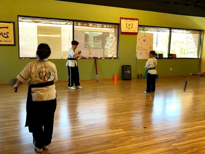 Avondale Kung Fu, Tai Chi, Qigong, Yoga, and Meditation Picture 5