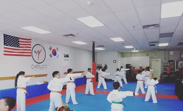 Castillo's Taekwondo Picture 1