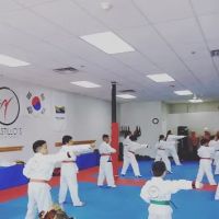 Castillo's Taekwondo ico