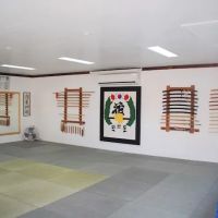 Hwa Rang Do Private Academy ico