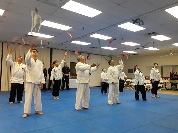 Tiger Rock Martial Arts of Glendale Picture 5