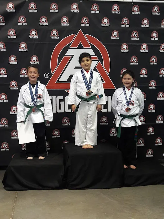 Tiger Rock Martial Arts of Glendale Picture 6