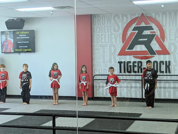 Tiger Rock Martial Arts of Glendale Picture 7