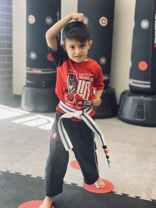 Tiger Rock Martial Arts of Glendale Picture 9