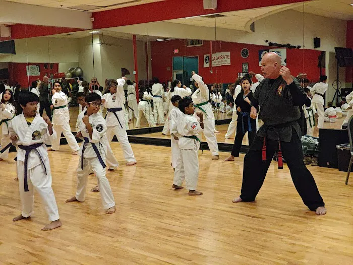 Tim Hope Academy of Martial Arts Picture 4
