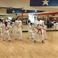 Tim Hope Academy of Martial Arts ico