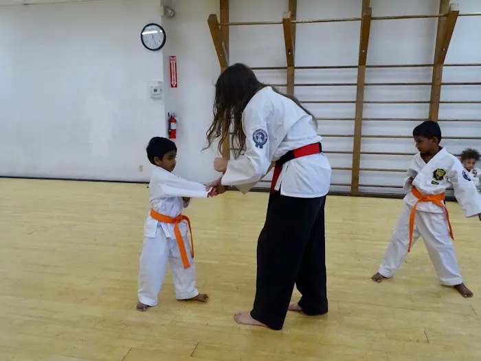 Tim Hope Academy of Martial Arts Picture 8
