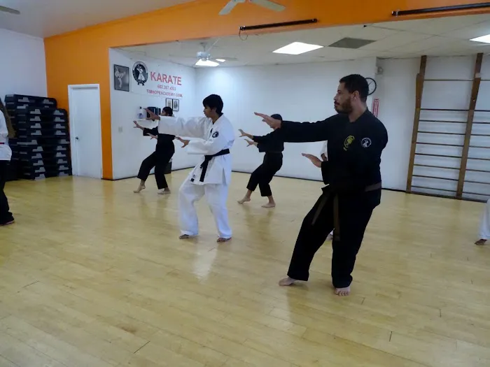 Tim Hope Academy of Martial Arts Picture 5