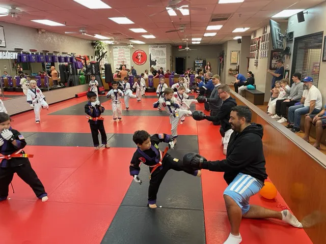 Arrowhead Martial Arts Academy Picture 3