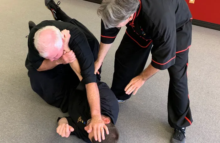 Shaolin Arts Kung Fu and Tai Chi Picture 1