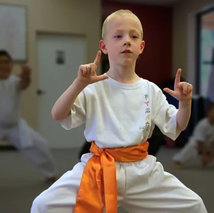 Shaolin Arts Kung Fu and Tai Chi Picture 3